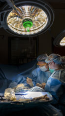 New camera gives surgeons a butterfly’s-eye view of cancer
